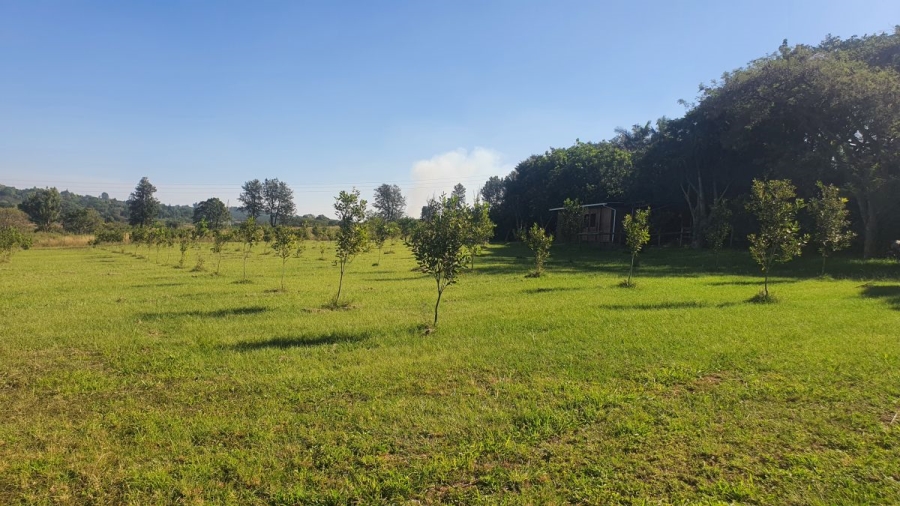 To Let 5 Bedroom Property for Rent in White River Mpumalanga