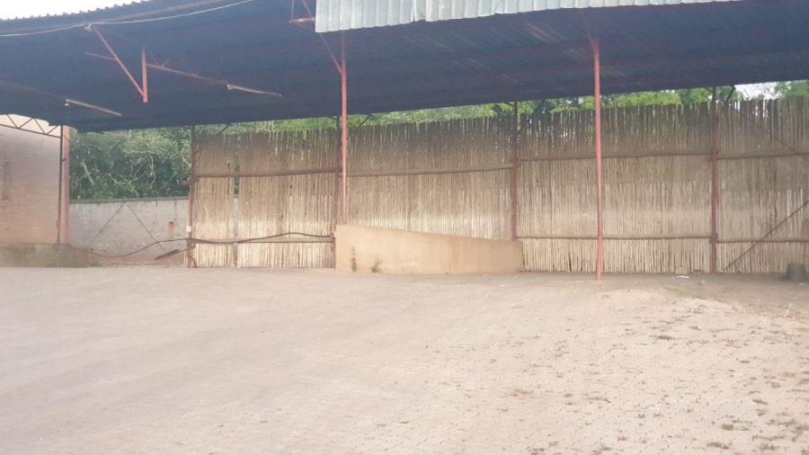 To Let commercial Property for Rent in White River Mpumalanga