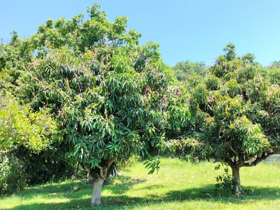 3 Bedroom Property for Sale in Nelspruit Rural Mpumalanga