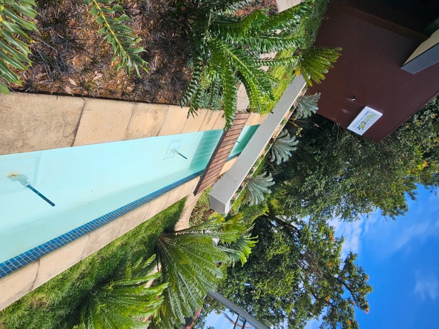 To Let commercial Property for Rent in White River Ext 1 Mpumalanga