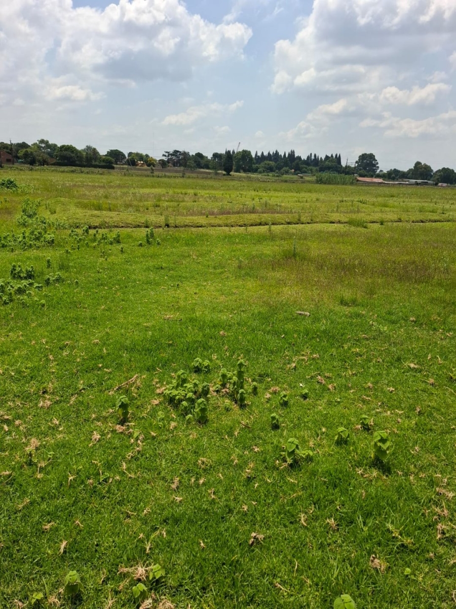 Commercial Property for Sale in Sundra AH Mpumalanga