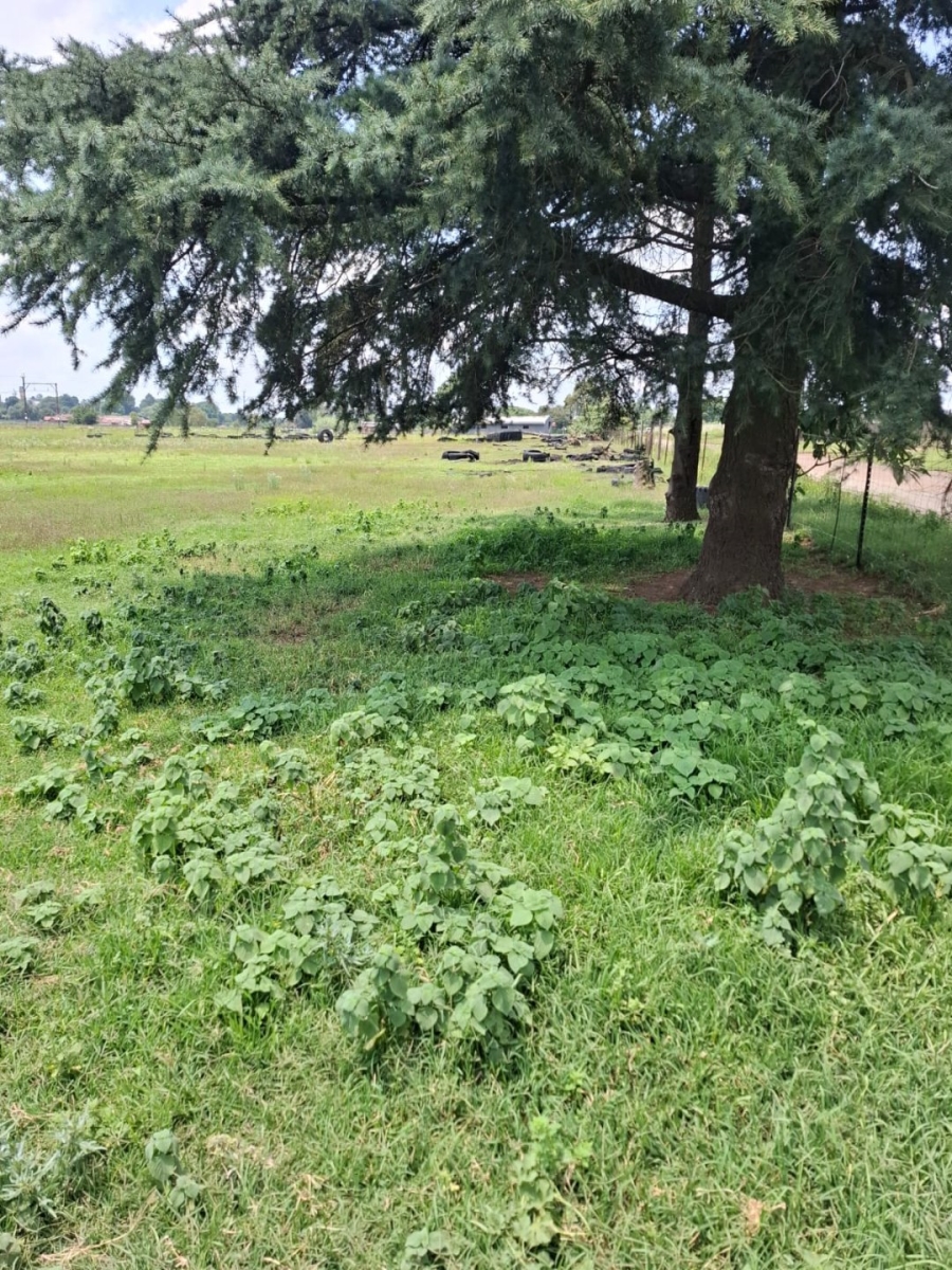 Commercial Property for Sale in Sundra AH Mpumalanga