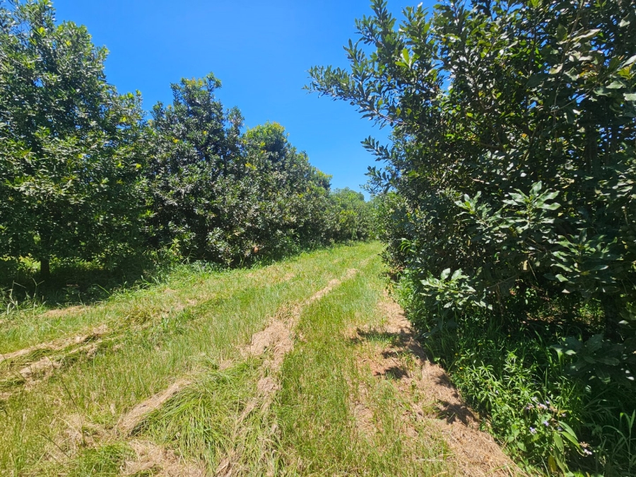 Commercial Property for Sale in White River Rural Mpumalanga