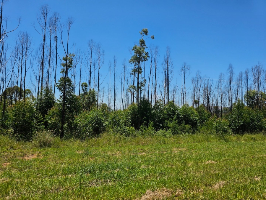 Commercial Property for Sale in White River Rural Mpumalanga