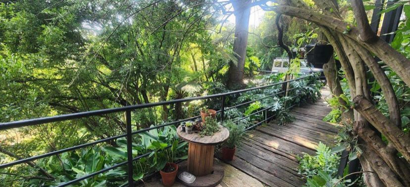 Commercial Property for Sale in Zeekoewater A H Mpumalanga