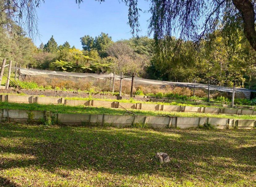 Commercial Property for Sale in Zeekoewater A H Mpumalanga