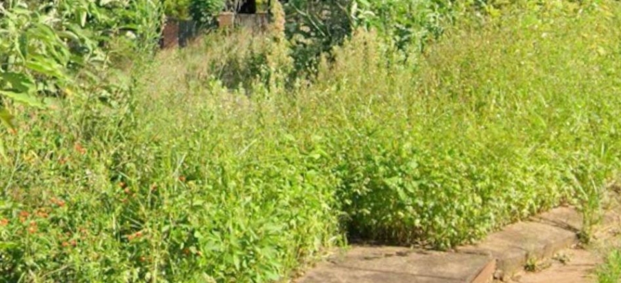 Commercial Property for Sale in Sabie Ext 9 Mpumalanga