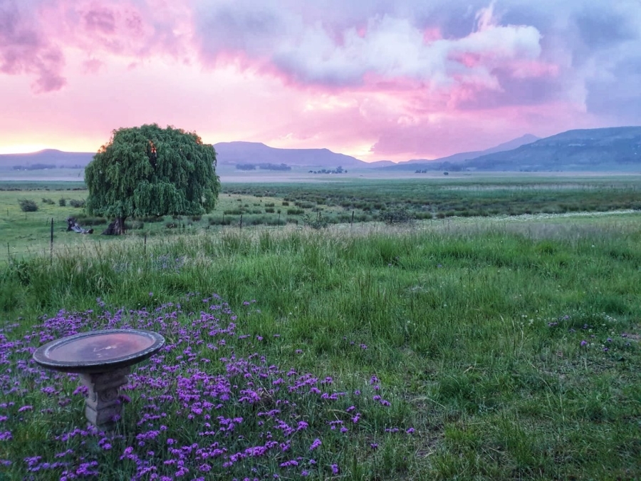 2 Bedroom Property for Sale in Wakkerstroom Mpumalanga