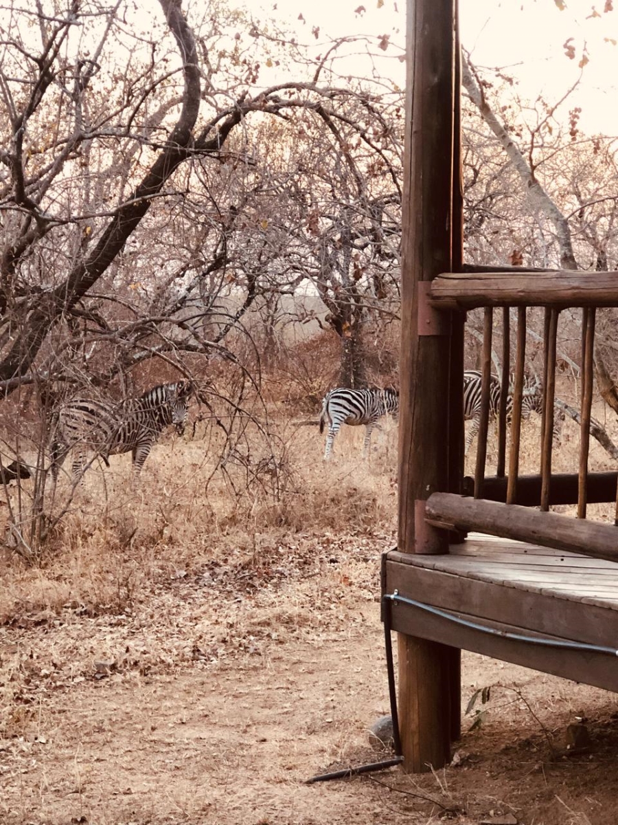 3 Bedroom Property for Sale in Sabie Park Mpumalanga