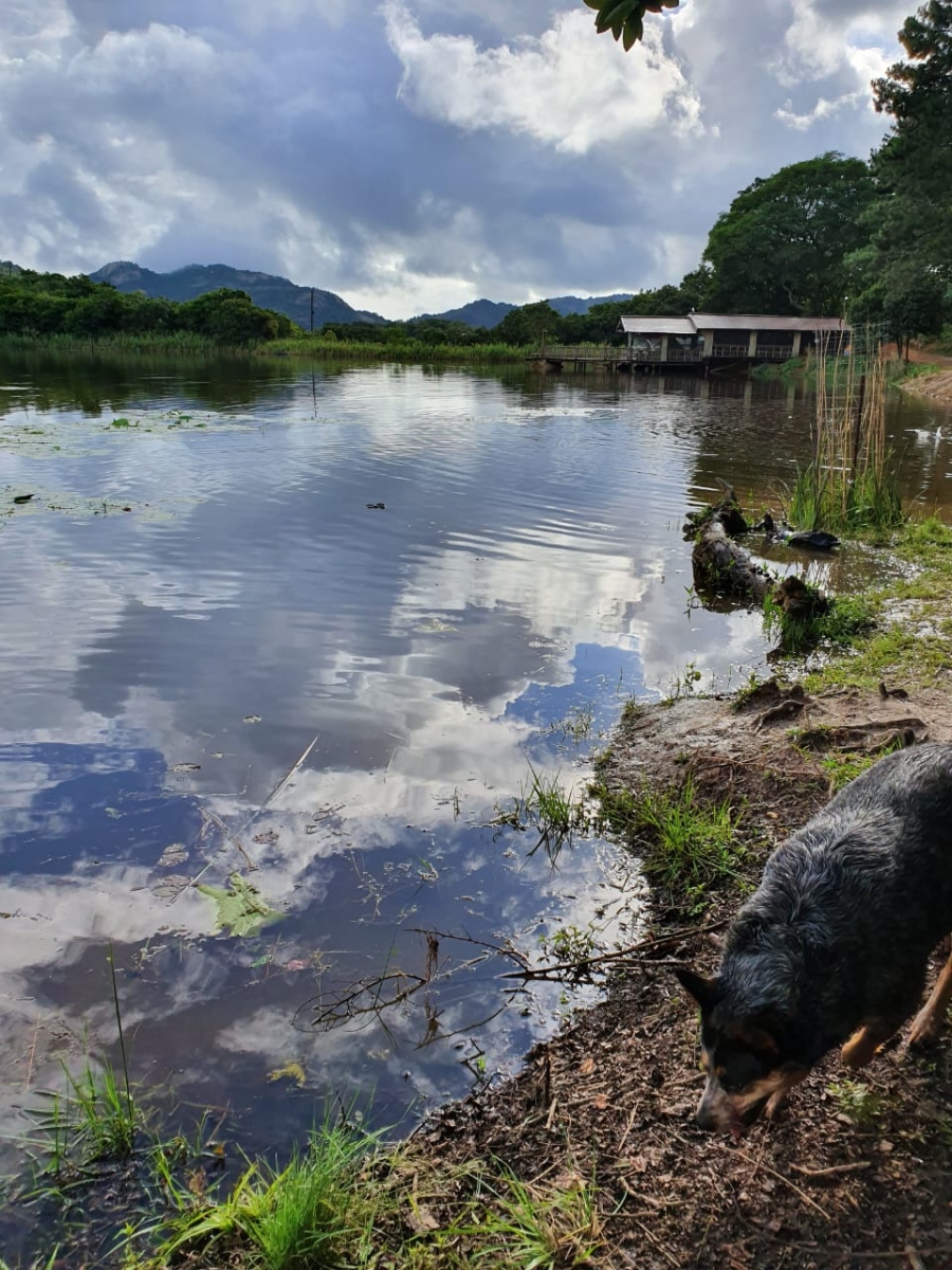 Commercial Property for Sale in Nelspruit Rural Mpumalanga