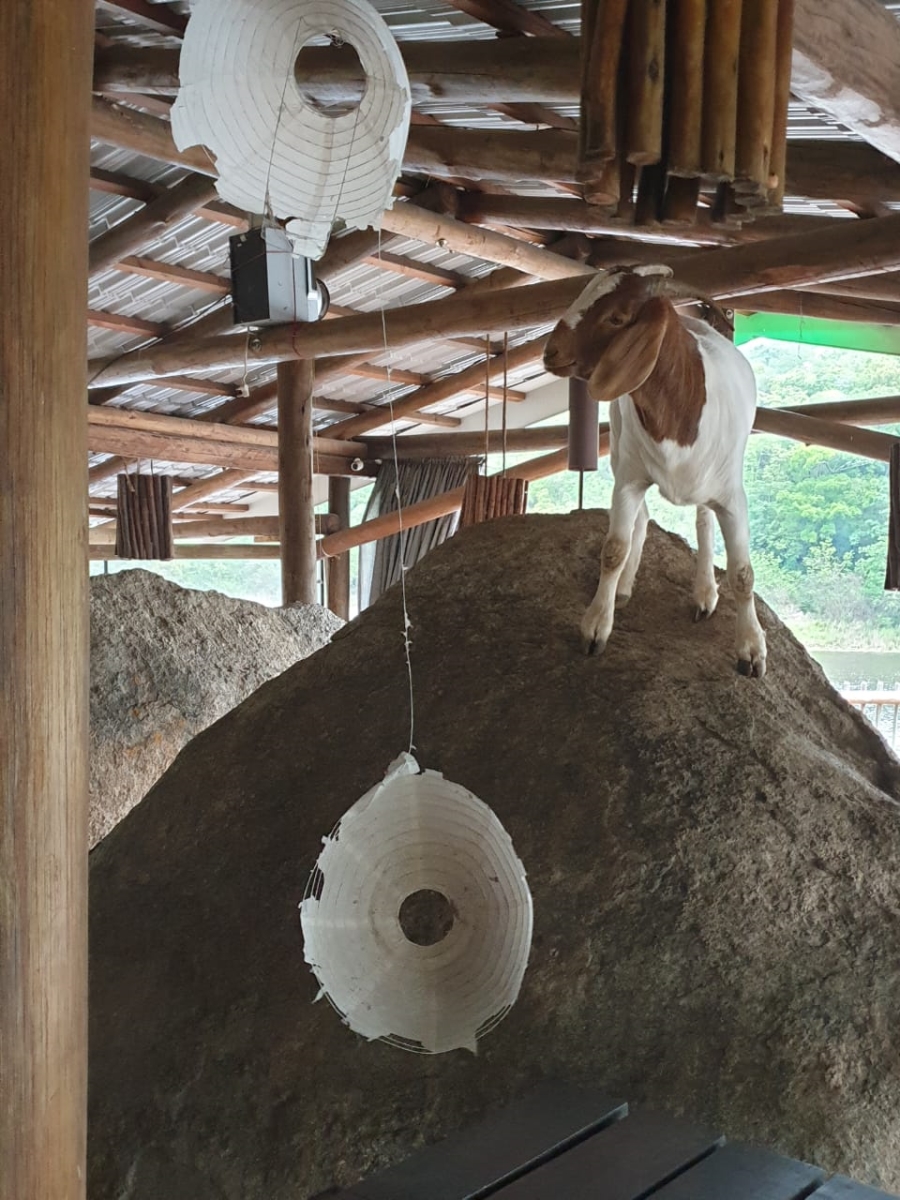 Commercial Property for Sale in Nelspruit Rural Mpumalanga