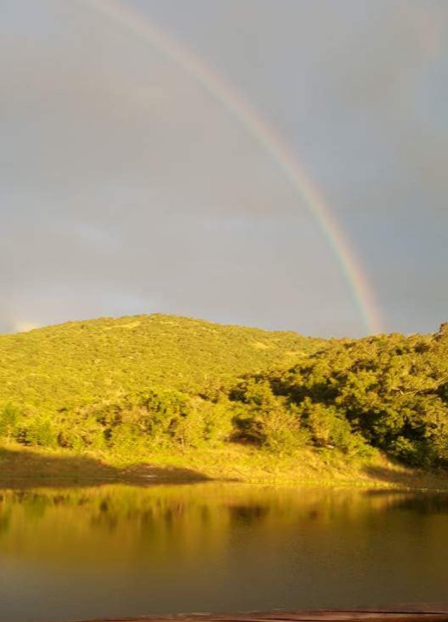 Commercial Property for Sale in Nelspruit Rural Mpumalanga