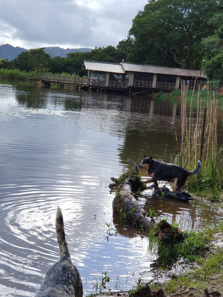 Commercial Property for Sale in Nelspruit Rural Mpumalanga