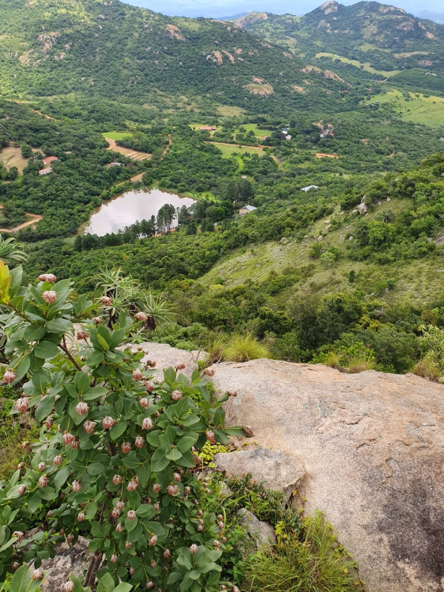 Commercial Property for Sale in Nelspruit Rural Mpumalanga