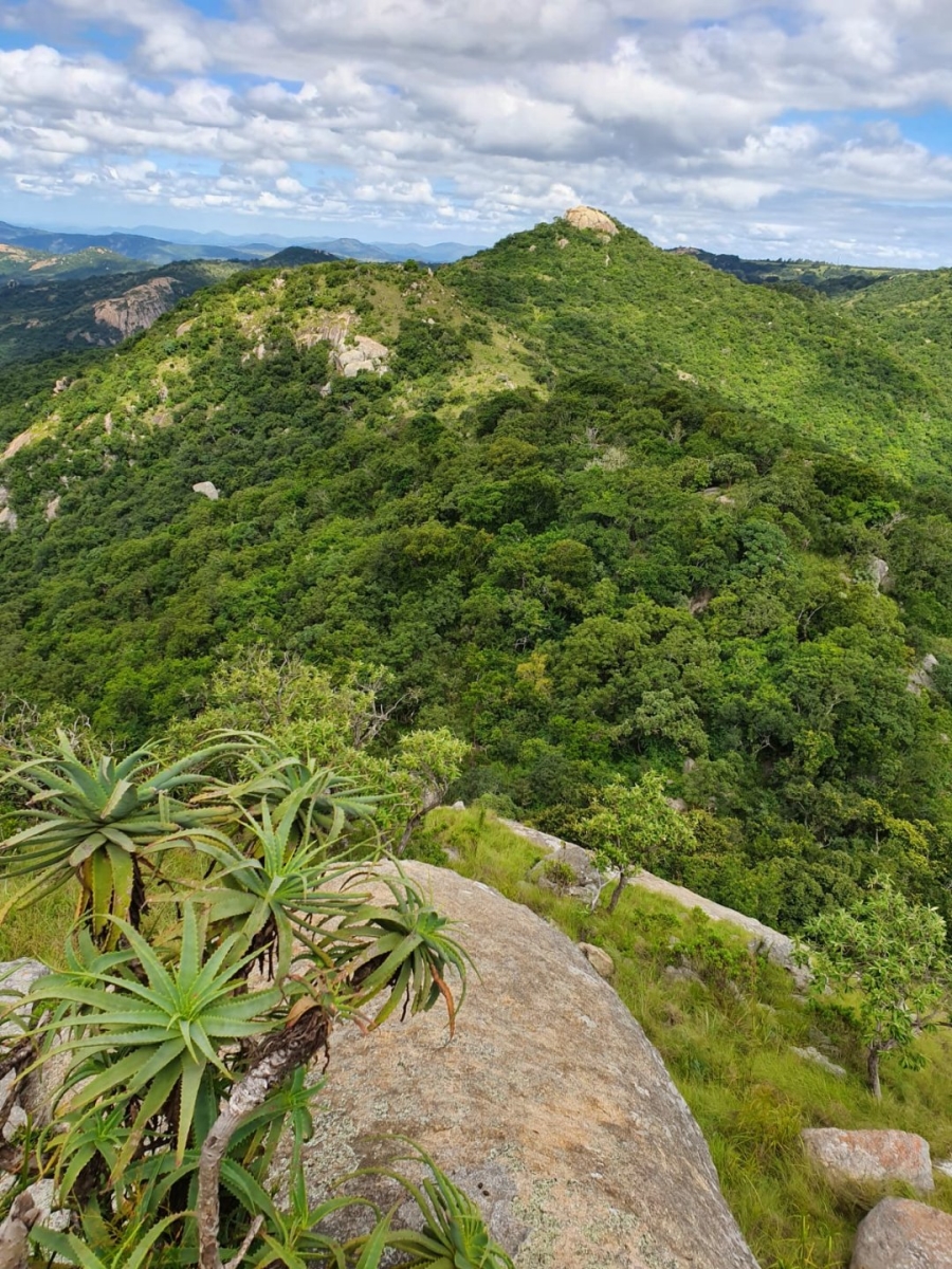 Commercial Property for Sale in Nelspruit Rural Mpumalanga