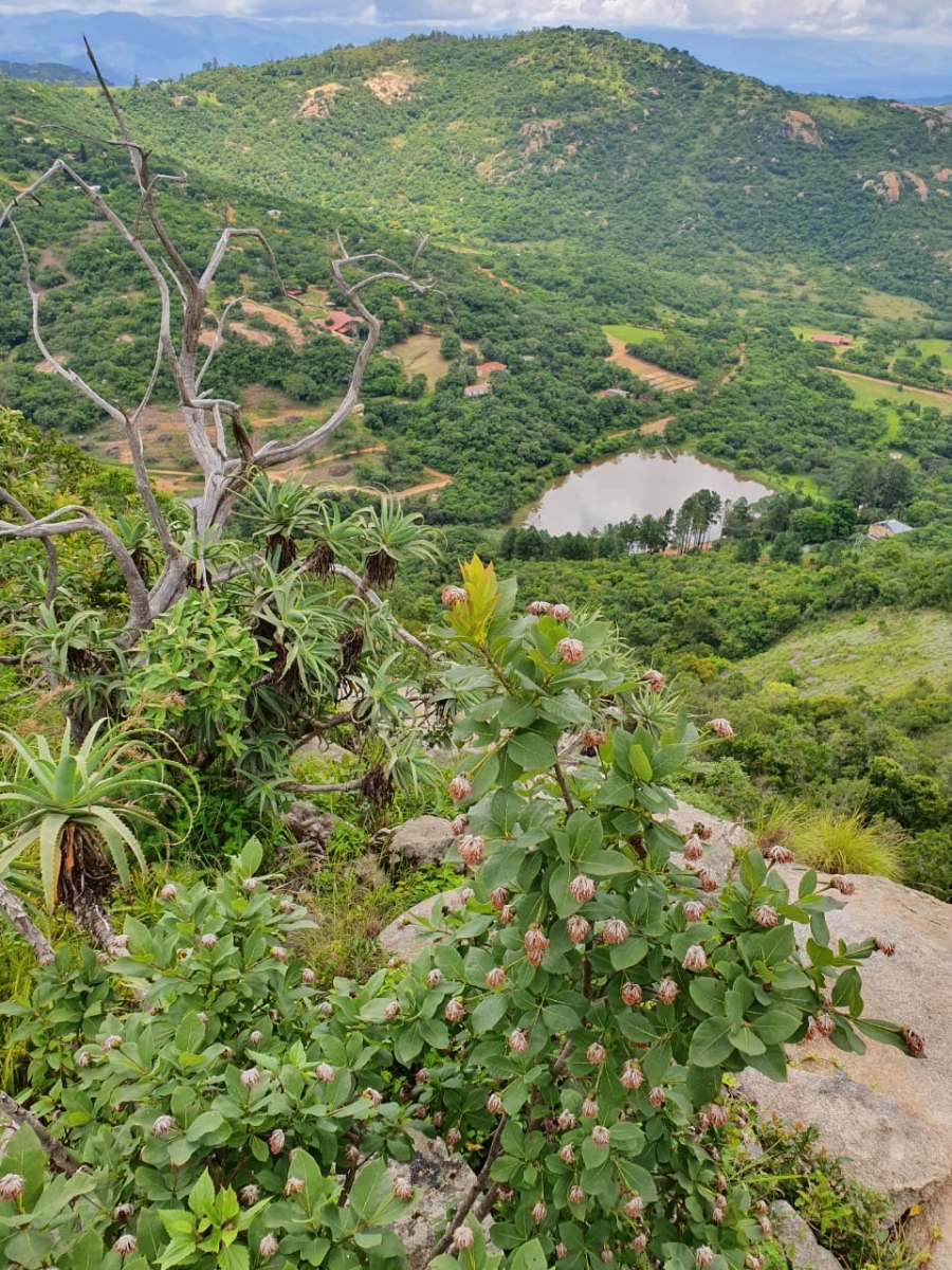 Commercial Property for Sale in Nelspruit Rural Mpumalanga