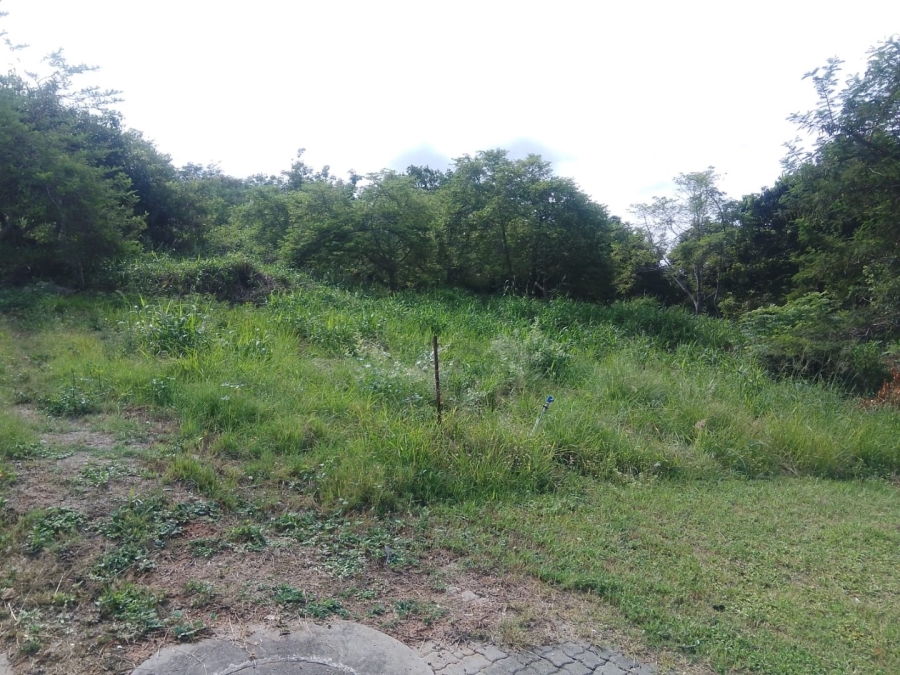 Commercial Property for Sale in Elawini Lifestyle Estate Mpumalanga