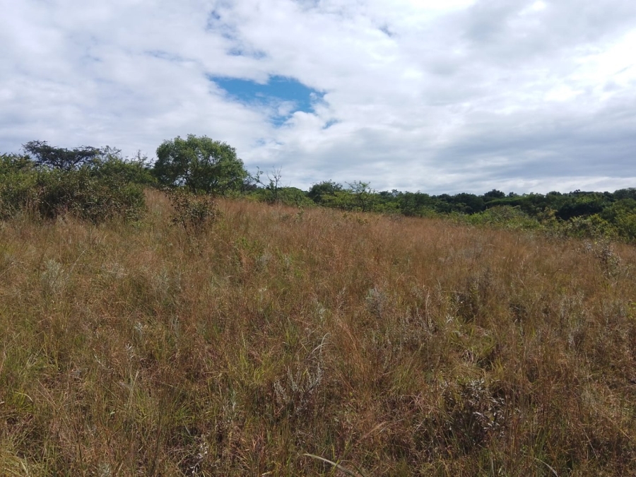 Commercial Property for Sale in White River Rural Mpumalanga