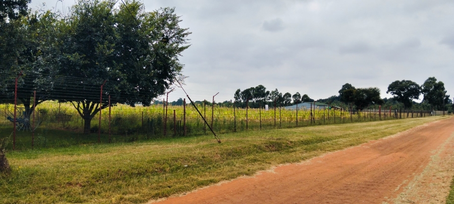 Commercial Property for Sale in Eloff A H Mpumalanga