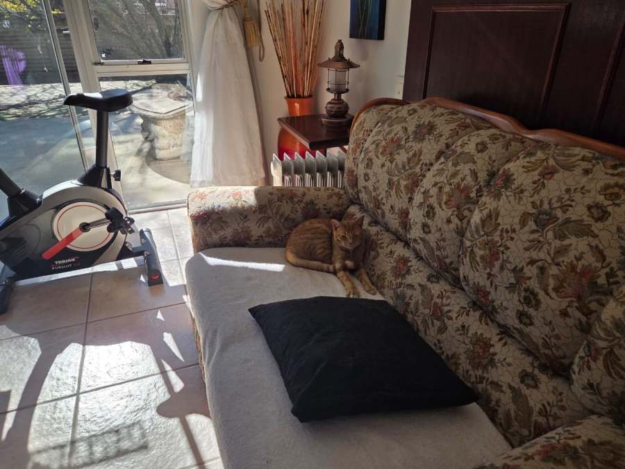 7 Bedroom Property for Sale in Standerton Mpumalanga