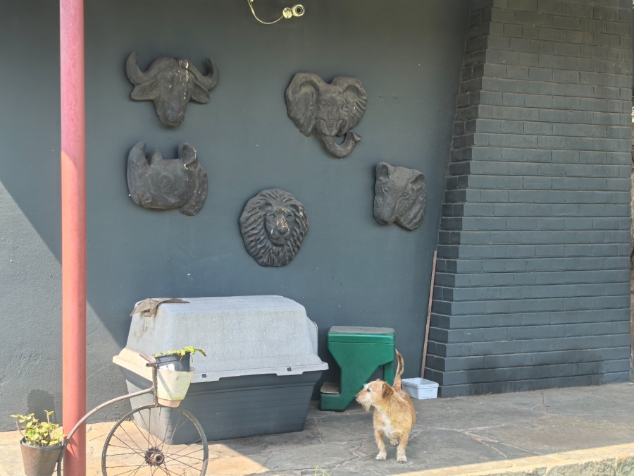 3 Bedroom Property for Sale in Witbank Ext 10 Mpumalanga