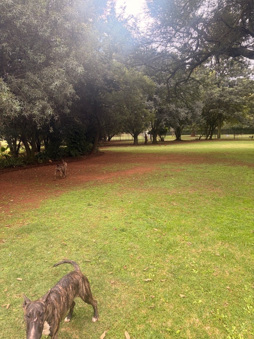 To Let 4 Bedroom Property for Rent in Delmas Mpumalanga