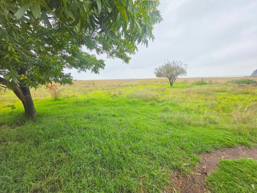 Commercial Property for Sale in Delmas Mpumalanga