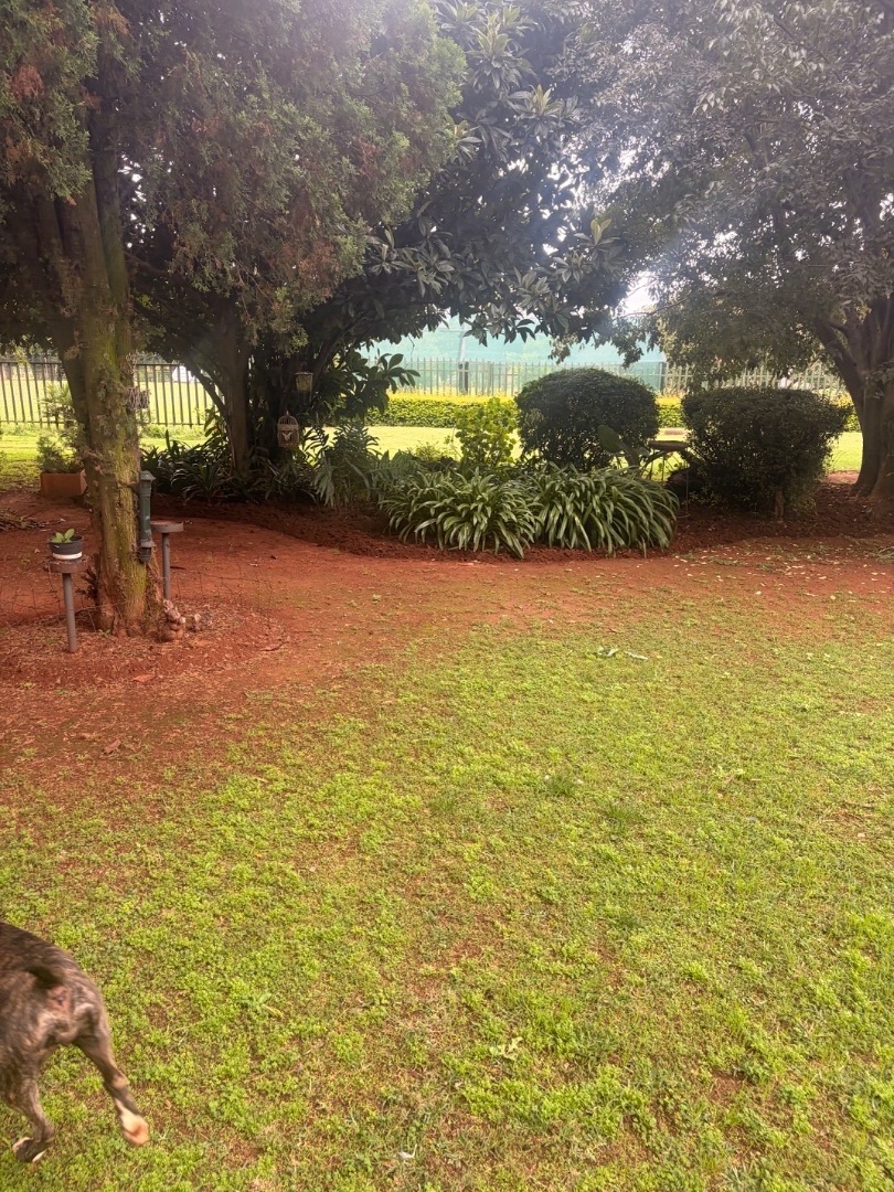 4 Bedroom Property for Sale in Delmas Mpumalanga