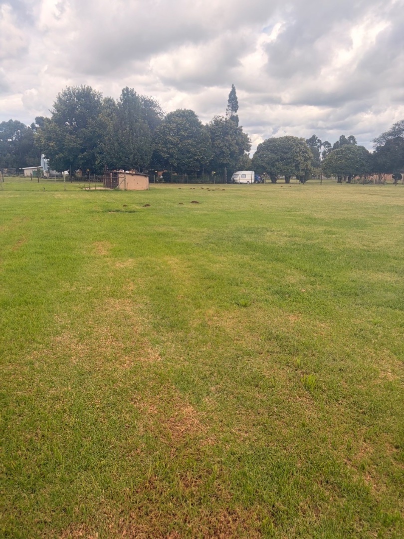 4 Bedroom Property for Sale in Delmas Mpumalanga