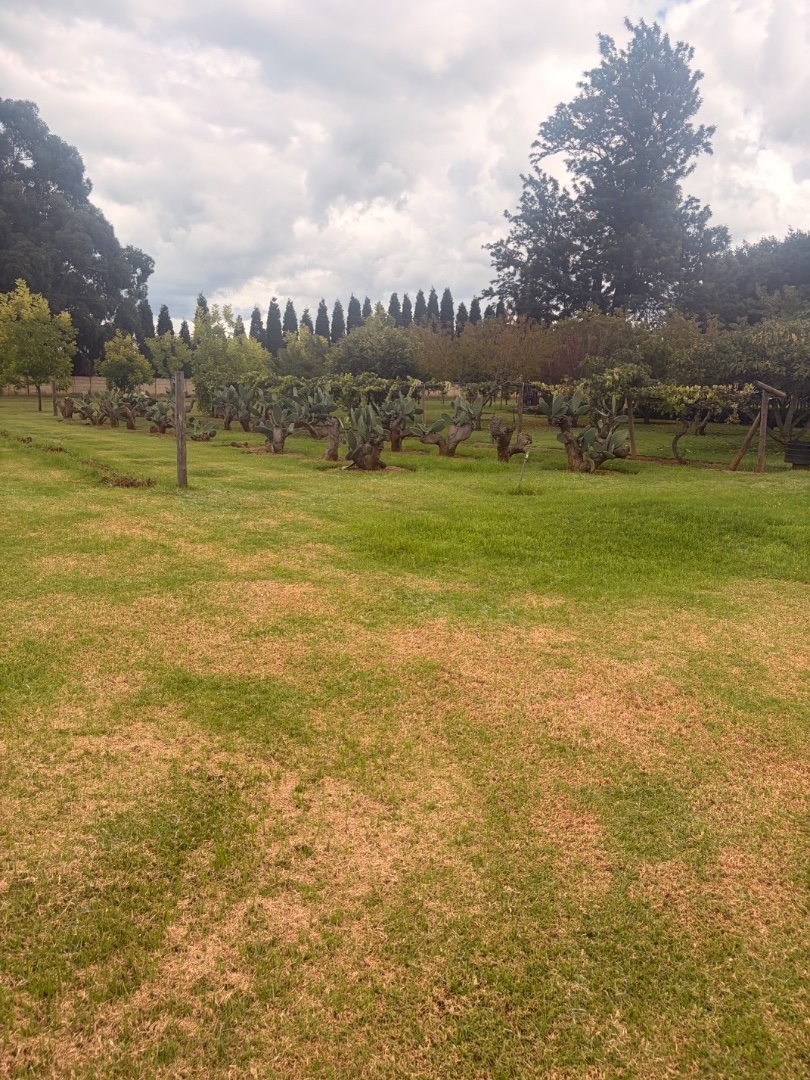 4 Bedroom Property for Sale in Delmas Mpumalanga