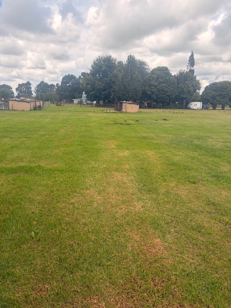 4 Bedroom Property for Sale in Delmas Mpumalanga