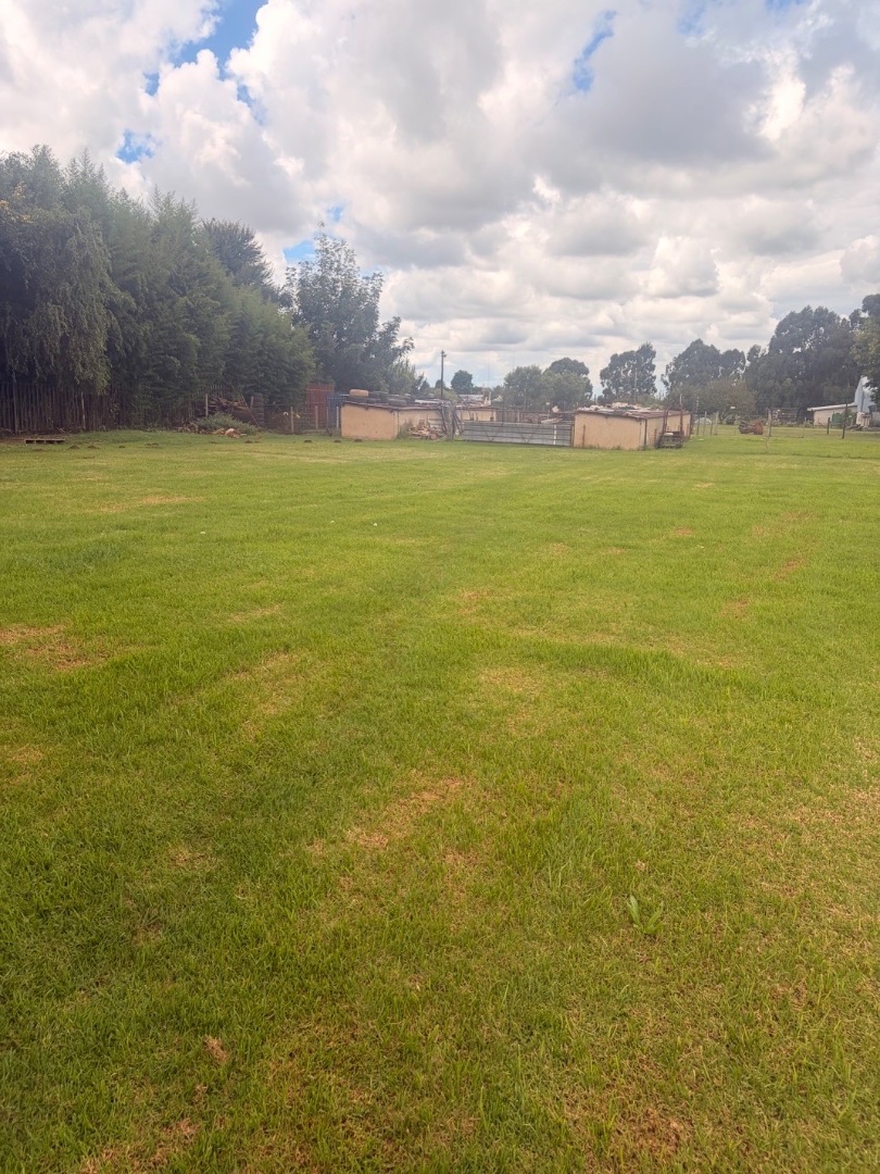 4 Bedroom Property for Sale in Delmas Mpumalanga