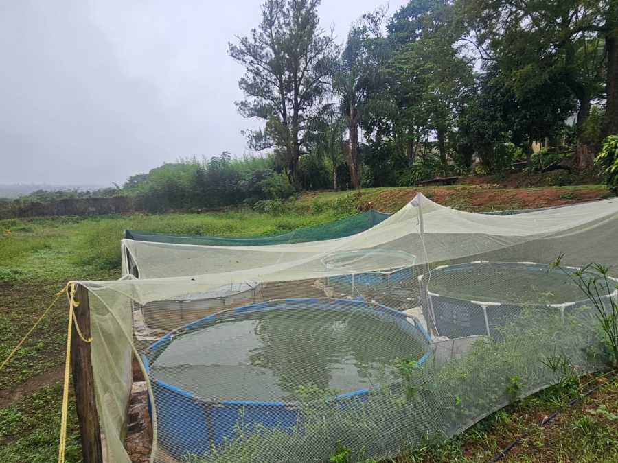 Commercial Property for Sale in White River Estates Mpumalanga
