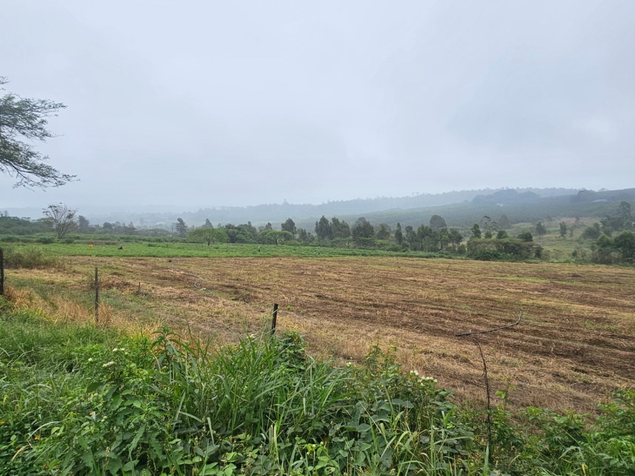 Commercial Property for Sale in White River Estates Mpumalanga