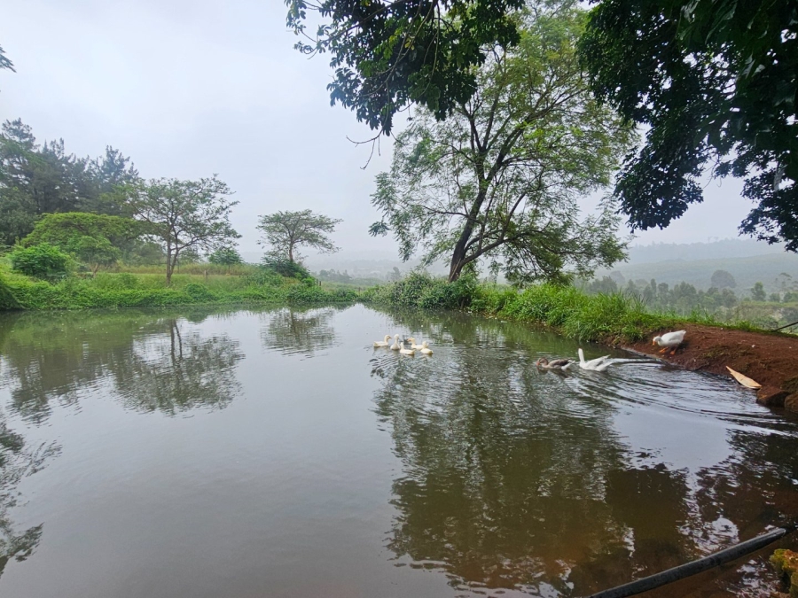 Commercial Property for Sale in White River Estates Mpumalanga