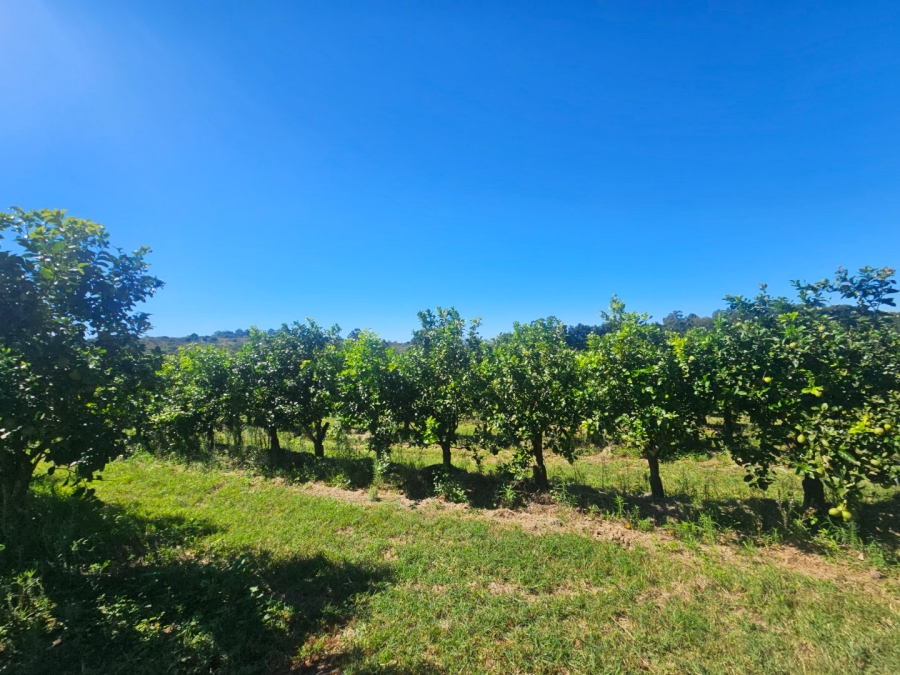 Commercial Property for Sale in White River Rural Mpumalanga
