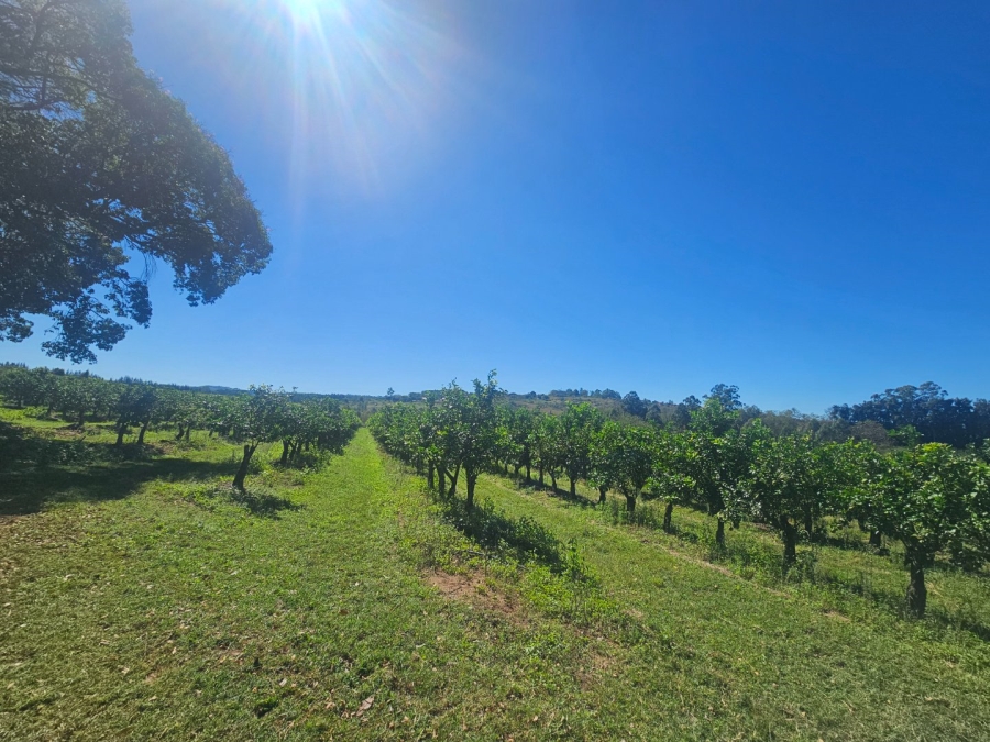 Commercial Property for Sale in White River Rural Mpumalanga