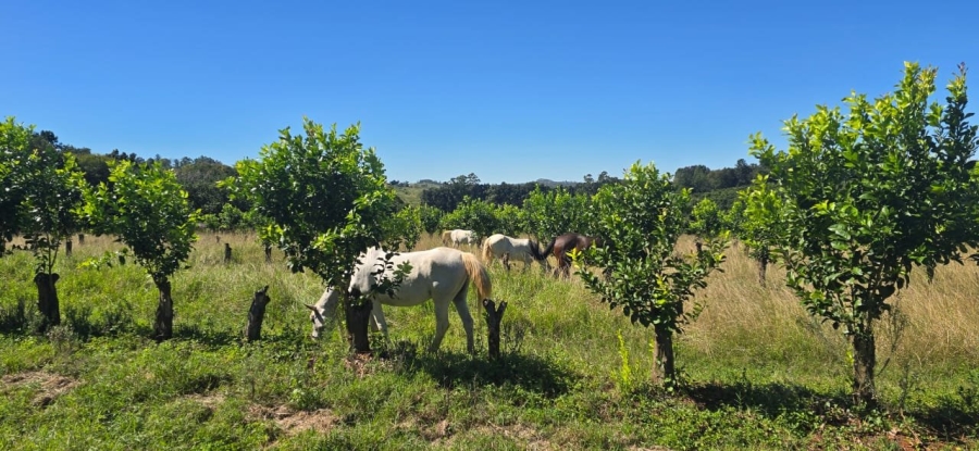 Commercial Property for Sale in White River Rural Mpumalanga