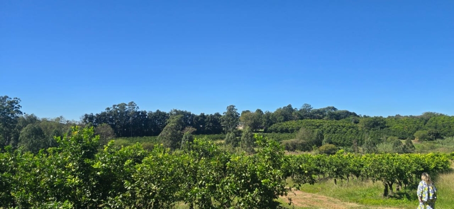 Commercial Property for Sale in White River Rural Mpumalanga