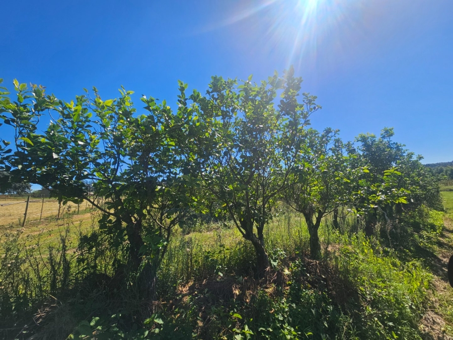 Commercial Property for Sale in White River Rural Mpumalanga