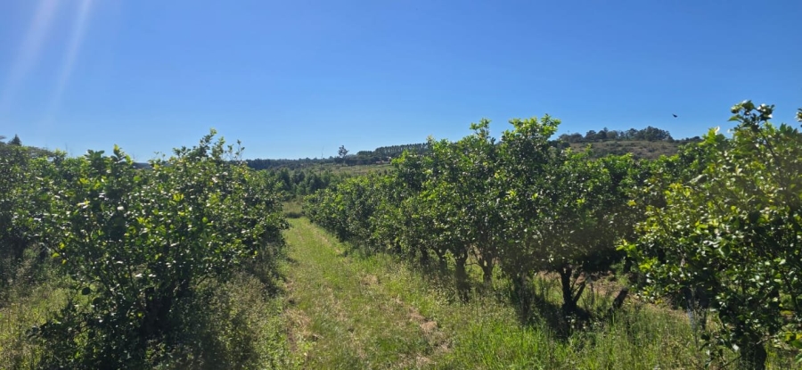 Commercial Property for Sale in White River Rural Mpumalanga