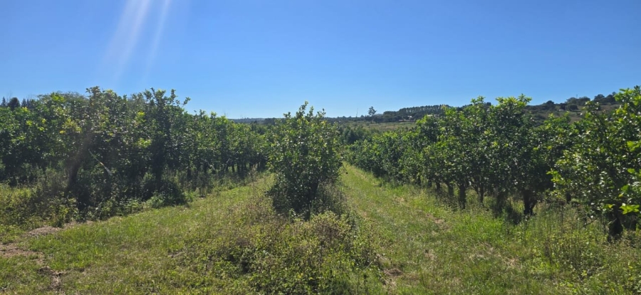 Commercial Property for Sale in White River Rural Mpumalanga