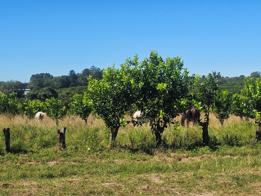 Commercial Property for Sale in White River Rural Mpumalanga