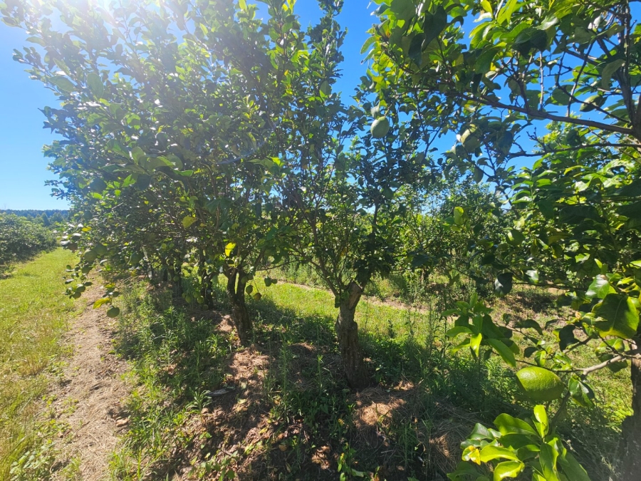 Commercial Property for Sale in White River Rural Mpumalanga