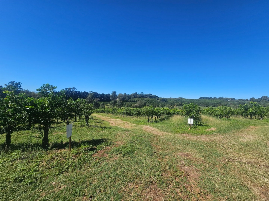 Commercial Property for Sale in White River Rural Mpumalanga