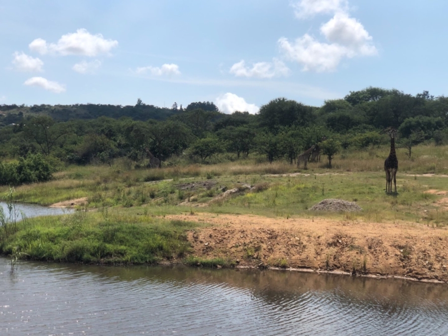 Commercial Property for Sale in Wild Fig Country Estate Mpumalanga