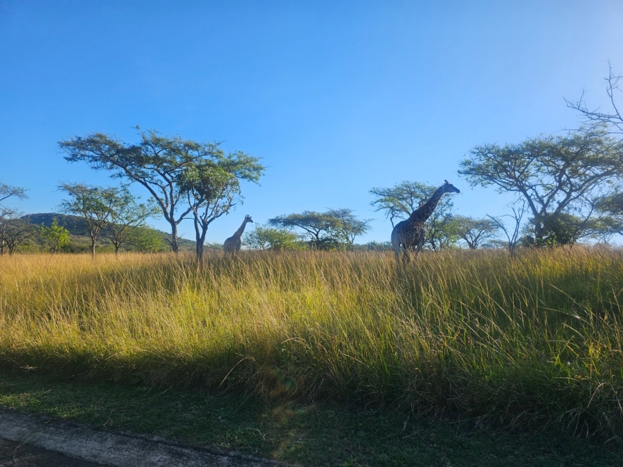 Commercial Property for Sale in Wild Fig Country Estate Mpumalanga