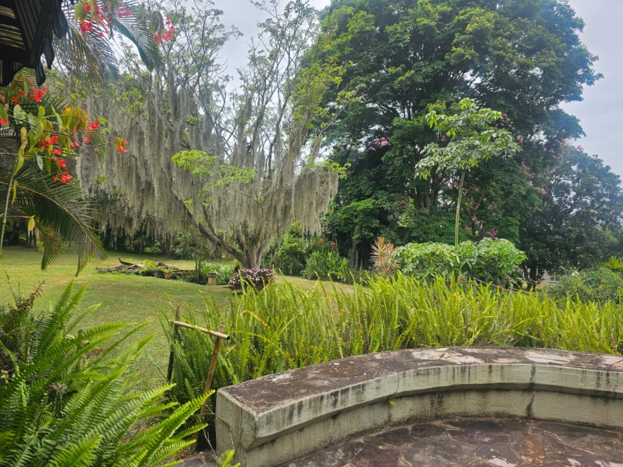To Let  Bedroom Property for Rent in White River Estates Mpumalanga
