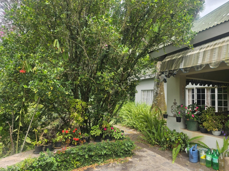 To Let  Bedroom Property for Rent in White River Estates Mpumalanga