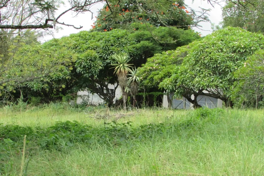 Commercial Property for Sale in Hilltop AH Mpumalanga
